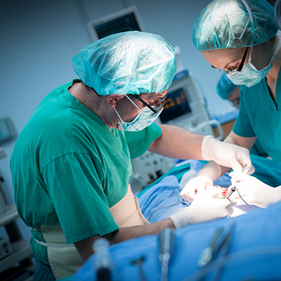 Teamwork Brazilian Butt Lift Doctors
